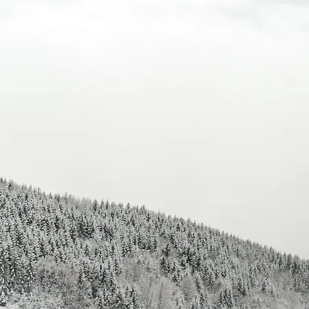 President Kop Alex 3*