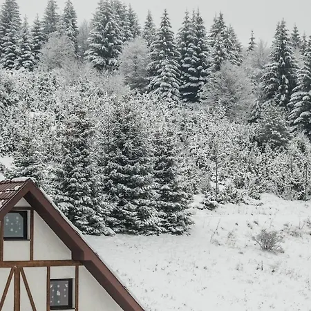 President Kop Alex 3*