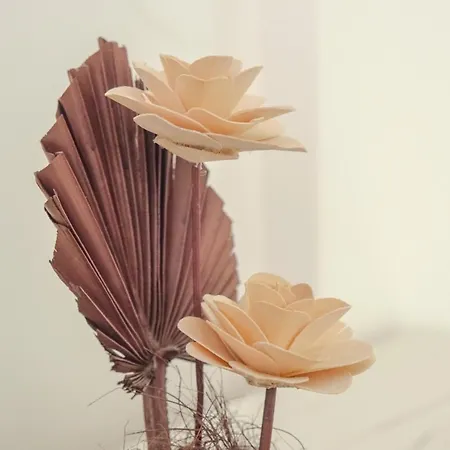 President Kop Alex Aparthotel Kopaonik