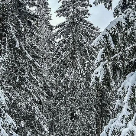 Aparthotel President Kop Alex